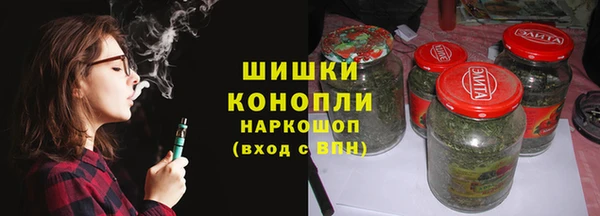 гидра Вязьма