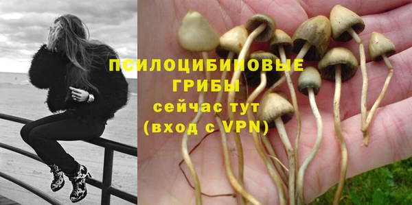 кокс Верея